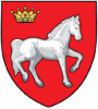iasi